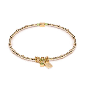 Personalised Zodiac Gold-Filled Bracelet – Initial Tag & Birthstone