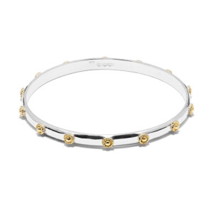 Nova Bangle