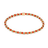 Joy Crystal Gold Plated Bracelet - Tango