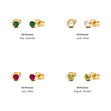 Zodiac Gold Plated Stud Earrings - Birthstone