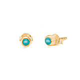Zodiac Turquoise Gold Stud Earrings