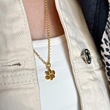 Paw Charm Gold Plated Necklace