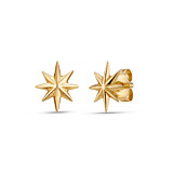 Wish Upon A Star Gold Plated Stud Earrings
