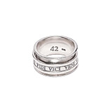 42 Men's Veni Vidi Vici Spinner Ring