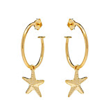 Starfish Hoop Gold Earrings