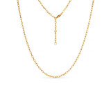 Liv Bentley Small Link Chain Gold Plated Necklace