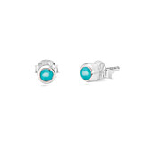 Zodiac Turquoise Silver Stud Earrings