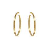 NU & MII Hollow Hoop Gold Earrings
