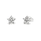 Crystal Star Silver Stud Earrings
