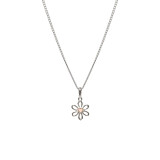 Pink Daisy Silver Necklace