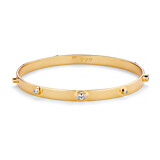 Allure Crystal Gold Plated Bangle
