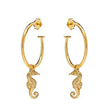 Outlet Seahorse Hoop Gold Earrings