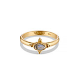 Labradorite Gold Plated Ring