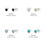 Zodiac Silver Stud Earrings - Birthstone