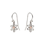 Pink Daisy Silver Hook Earrings