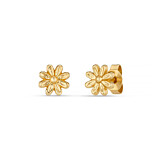 Flower Cup Gold Plated Stud Earrings