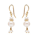 Precious Dangle Gold Plated Earrings - Pearl