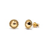 Outlet Nova Gold Stud Earrings