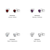 Zodiac Silver Stud Earrings - Birthstone