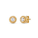 Crystal with a Twist Gold Plated Stud Earrings