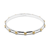 Nova Bangle