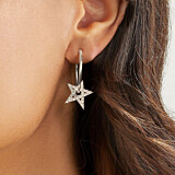 Clear Crystal Star Hoop Silver Earrings