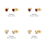 Zodiac Gold Plated Stud Earrings - Birthstone