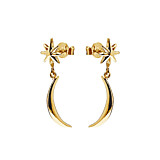 Luna Star Gold Plated Stud Earrings