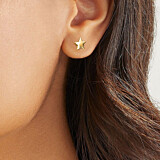 Outlet Boxed Star Gold Plated Stud Earrings