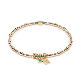 Personalised Zodiac Tag and Birthstone Gold Plated Bracelet