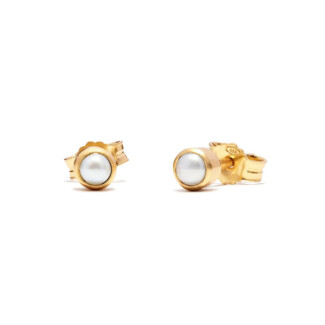 Zodiac Gold Plated Stud Earrings - Birthstone