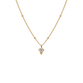 NU & MII Clemmie Gold Plated Necklace