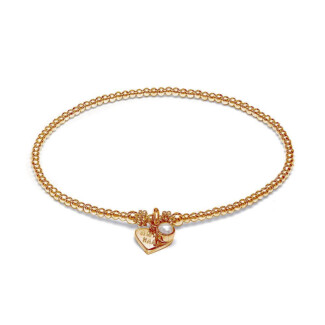 Zodiac Gold Plated Charm Bracelet - Semi Precious Birthstone