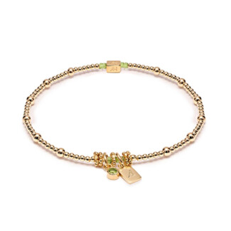 Personalised Zodiac Gold-Filled Bracelet – Initial Tag & Birthstone