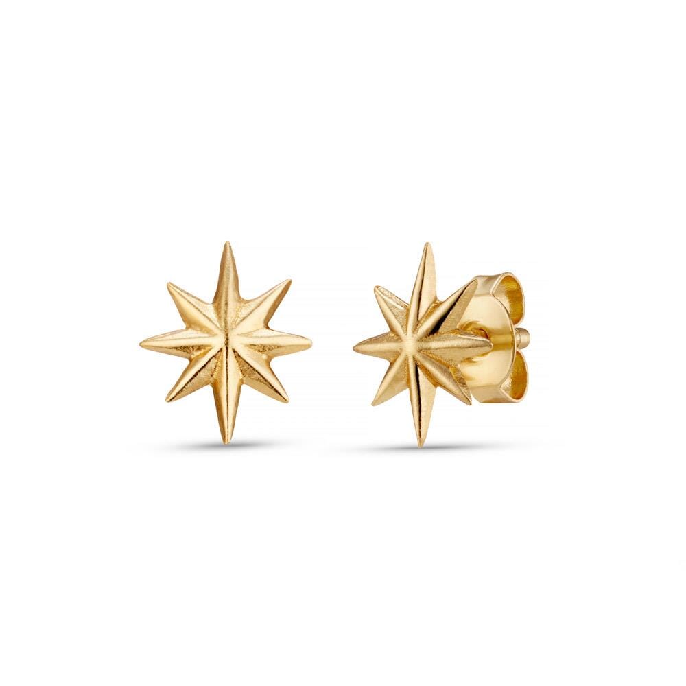 Wish Upon A Star Gold Plated Stud Earrings