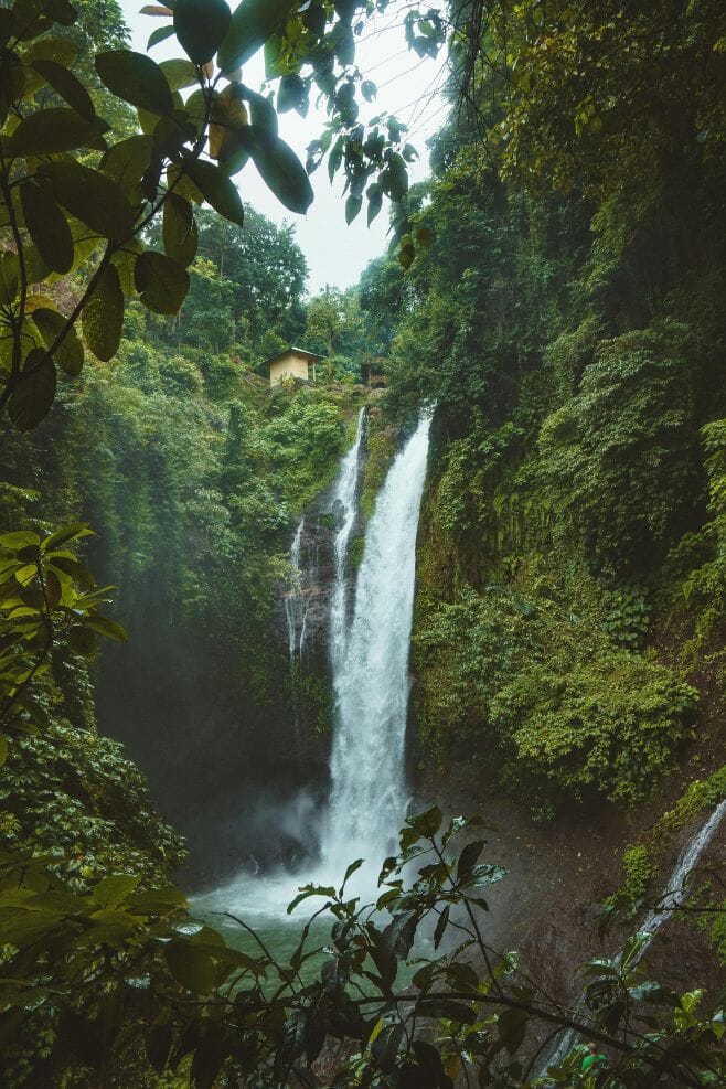 Beautiful Balinese nature.