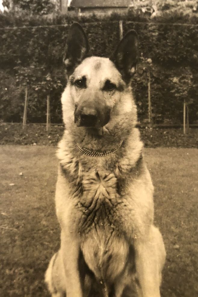 Annie's childhood dog, Ruff.