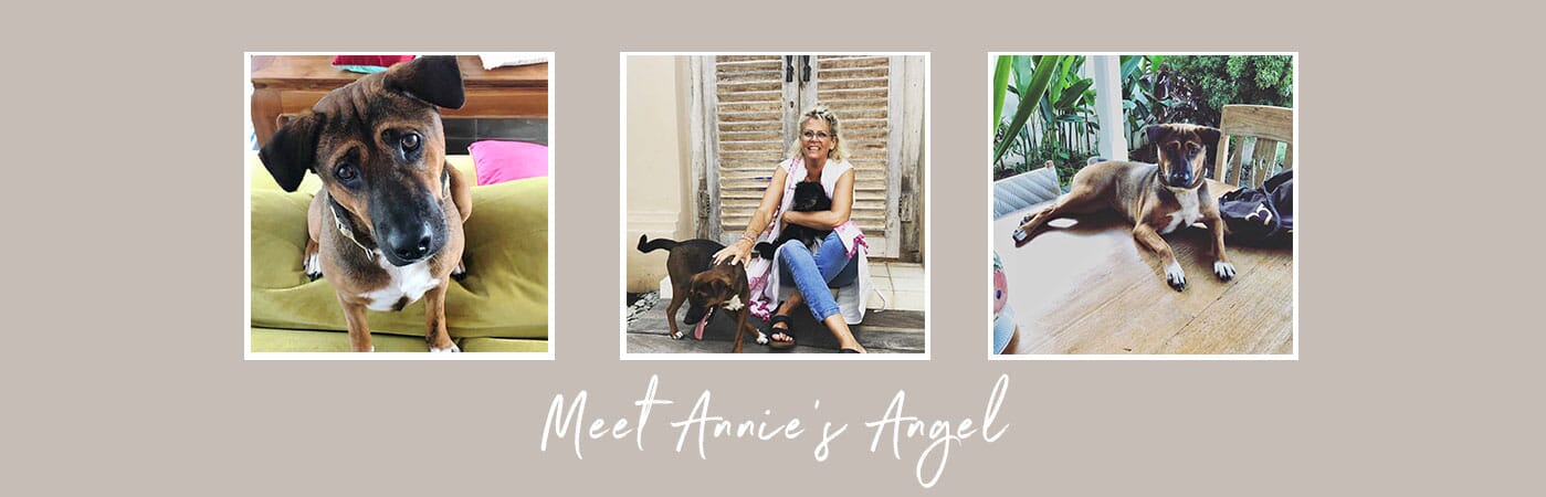 Meet Annie's Angel