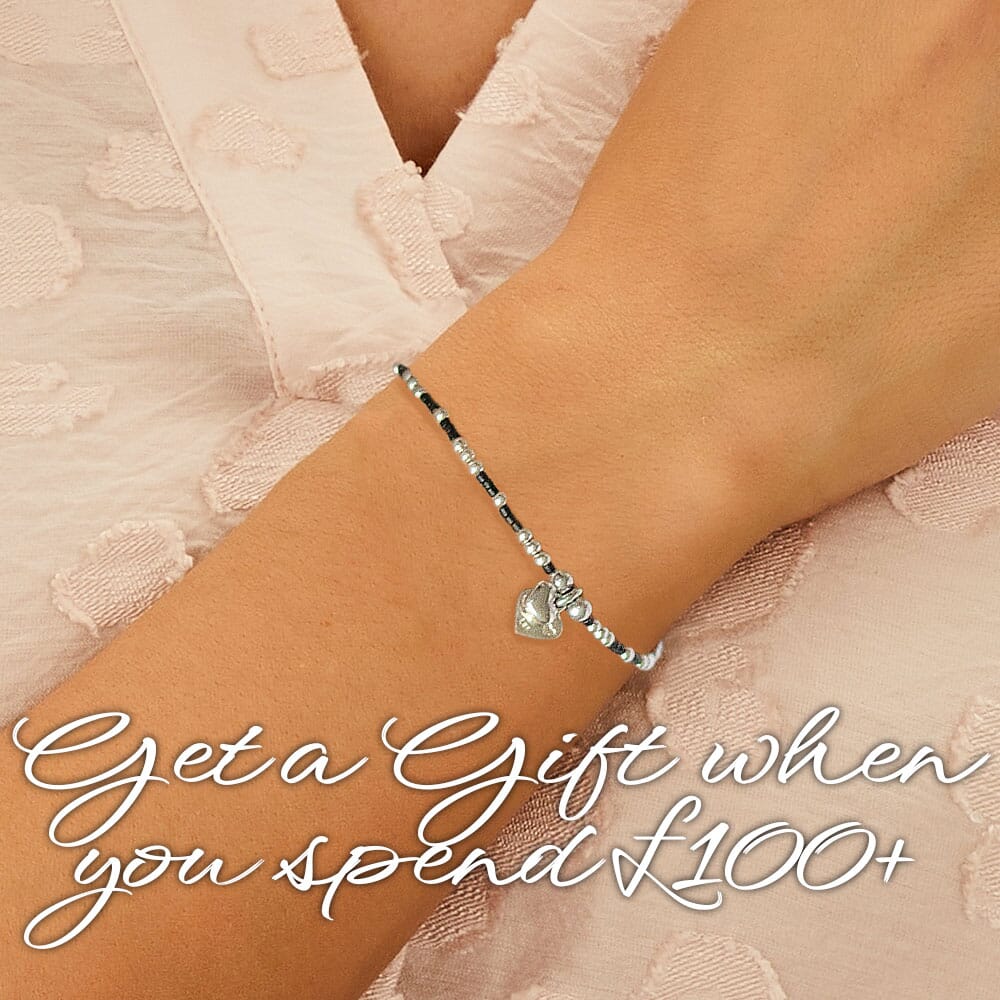Christmas Offer SHOP NOW