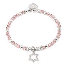 CITY SPARKLE SILVER CHARM BRACELET - CHRISTMAS ROSE